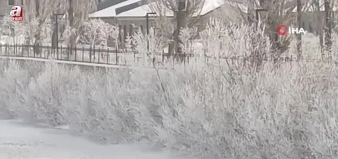 Ardahan'da dondurucu soğuklar etkili oldu