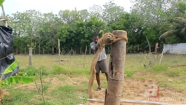 Öyle bir şey yaptı ki! Herkes hayran kaldı... 13