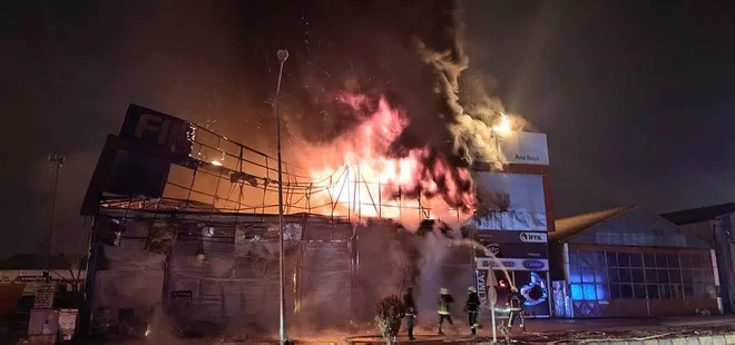 Van'da korkutan yangın!