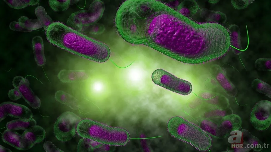 Kolera nedir, nasıl bulaşır? O ülkede ölü sayısı giderek artıyor: UNICEF uyardı! Tedavisi var mı, belirtileri neler? 3