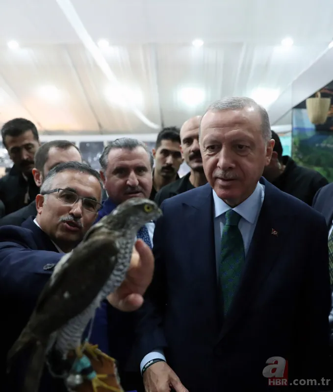 Başkan Erdoğan, Rize Tanıtım Günleri stantlarını tek tek ziyaret etti 24