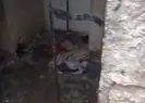 İşte Kureyşi’nin hapishanesi!