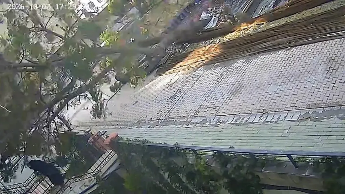 Avcılar’da devrilen ağaç faciası! Ölümün teğet geçtiği an: "Cana geleceğine mala gelsin!"