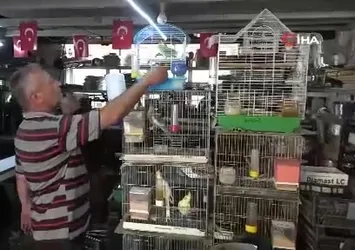 Soba ve mangal ustası Mustafa Göktürk'ün kuş sevgisi