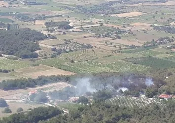 Son dakika: Bozcaada'da orman yangını
