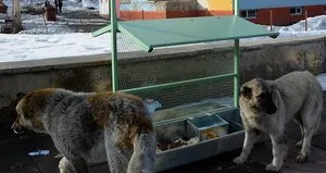 MASAK raporu ’mama lobisi’nin rantını ortaya koydu