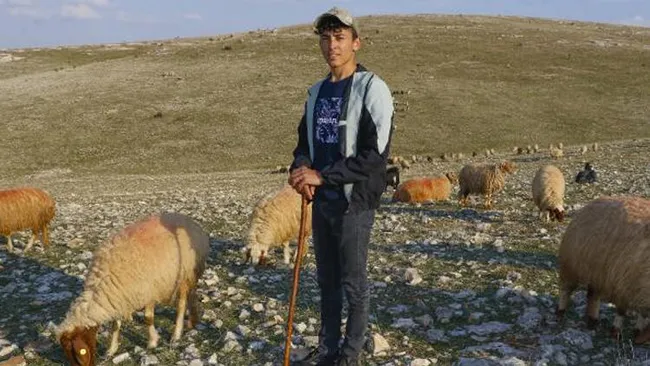 Mardin’de son 20 yılın en kurak dönemi! Hayvanların sütü azaldı ve ot bile bulunmuyor - 4