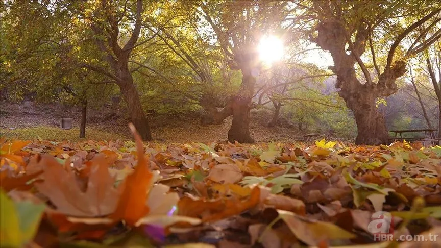 Pastırma sıcakları ne zaman, hangi tarihte başlayacak? Pastırma sıcakları hangi ayda olur? 2