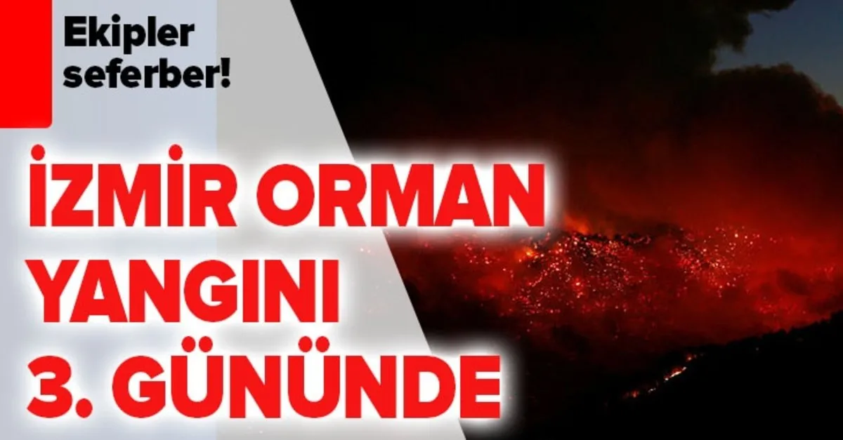 Izmir Orman Yangini Son Durum Izmir Yangin Son Dakika Sonduruldu Mu