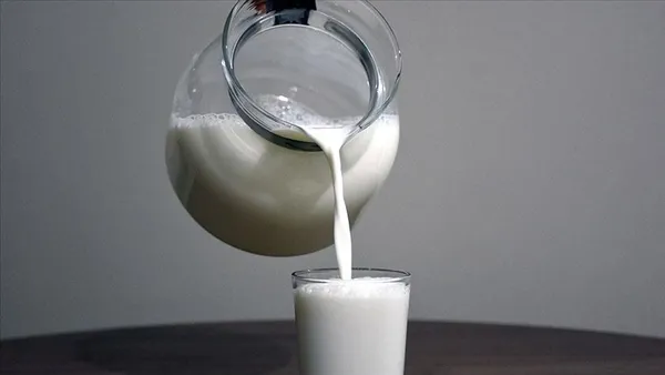 1663258207478.jpg Litre başına 7,50 lira kazandıracak! Üreticiler dikkat! 1 Ekim itibarıyla başlıyor... Süt fiyatları değişecek - 1