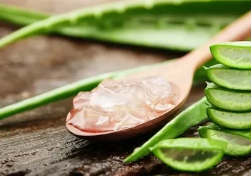 Cilt bakımında mucizeler yaratıyor! Evde aloe vera yetiştirmeniz için 7 neden...