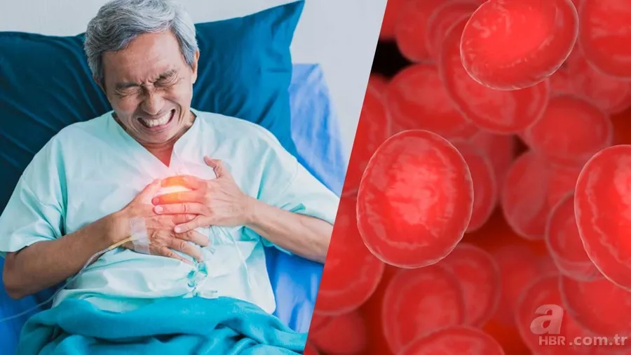 Kan Grubunuz Hayati Önem Taşıyor! 🩸 ❤️ A, B, 0, AB (+/-)... O Gruptaki Kişiler Daha Az Risk Altında... 1