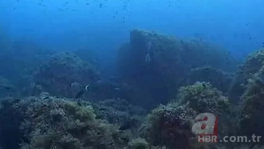 Türklerin soyu nereden geliyor? (Türkler bu kıtadan mı geliyor?) 10