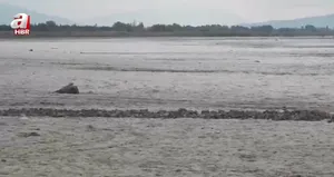 İçler acısı görüntüler