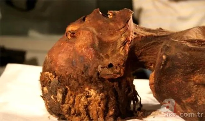 Gizemli iskeletin sırrı çözüldü! Uzaylıya mı ait? UFO teorileri üzerinde duruluyordu… Gerçek bambaşka çıktı 11