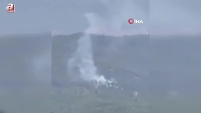 Adana Aladağ’da orman yangını