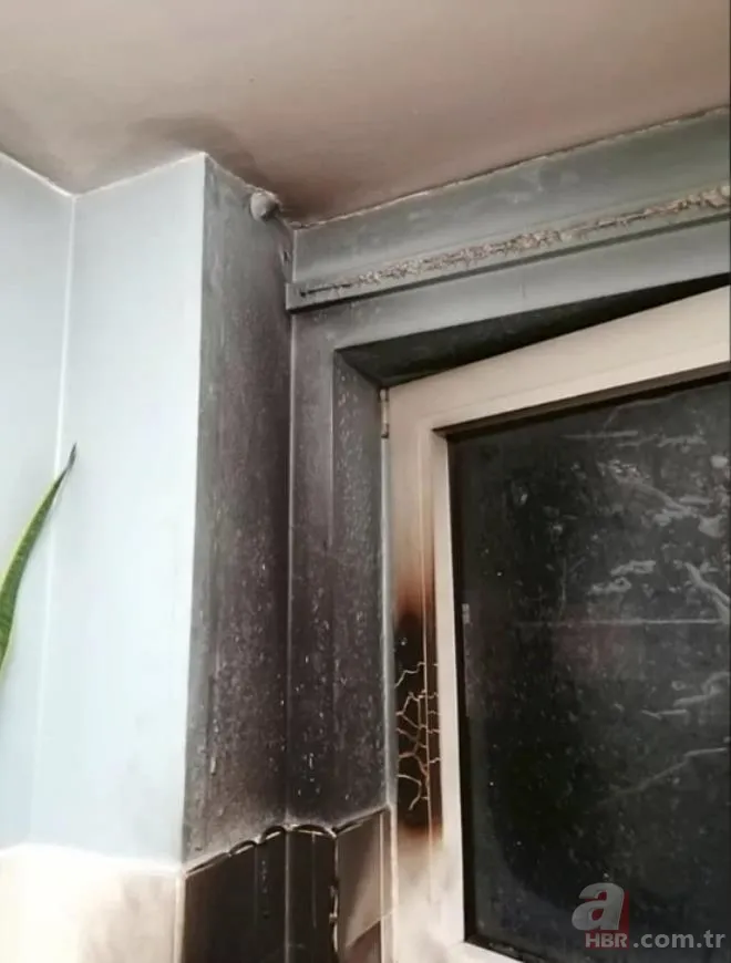 Yürüyüş yaptıkları sırada buldular! Fosil zannedip eve götürdükleri nesne bomba çıktı 6