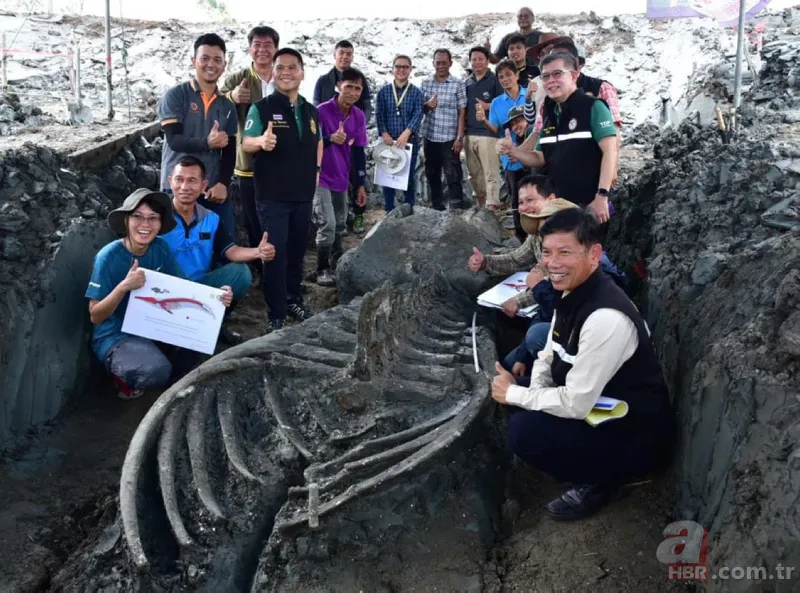 Bilim dünyasını şaşkına çeviren olay! Asırlara meydan okumuş! Tam 5 bin yıllık 6