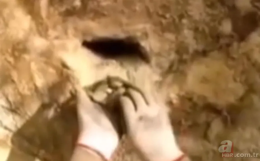 ''Defineyi koruyan yılan'' efsanesi gerçek oldu! Taş kesilmiş yılanın hikayesi ürküttü 14