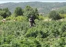 Bakanlıktan flaş operasyon açıklaması