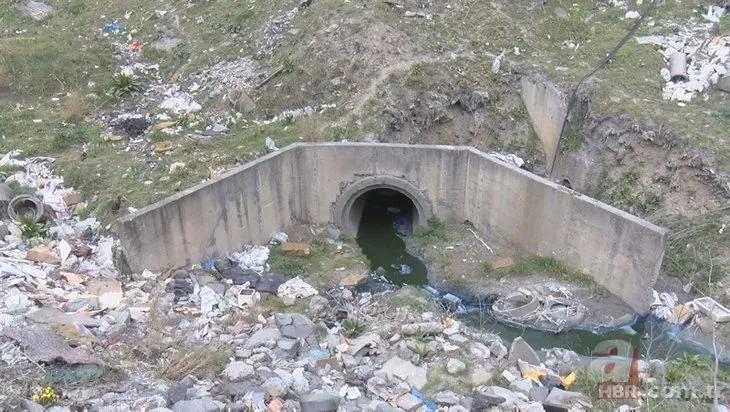 Alibeyköy Barajı’na giden dereden zehir akıyor! Hayvanlarımız ölüyor