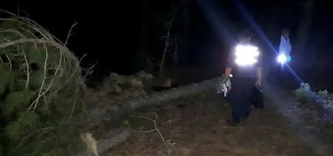 Kütahya’da kestiği ağacın çarptığı adam hayata veda etti