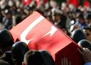 Şehidin cenazesi memleketine ulaştı
