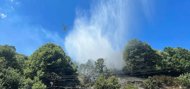 Son dakika: Beykoz’da ormanlık alanda yangın!