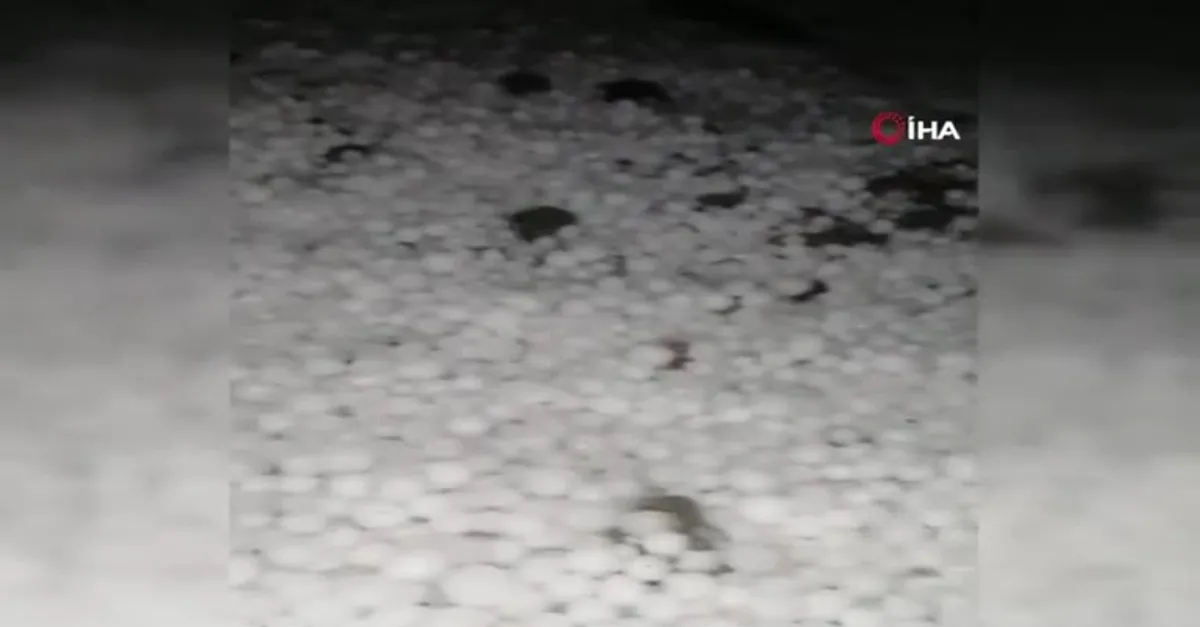 Son dakika: O ilimizde dolu yağdı! Meyveleri parçaladı |Video