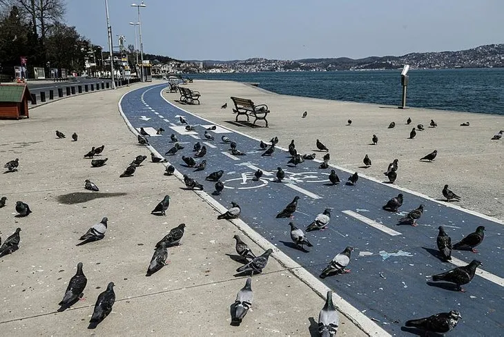 Son dakika: Bayramda sokağa çıkma yasağı var mı? Ramazan Bayramı’nda dışarı çıkma yasağı olacak mı?