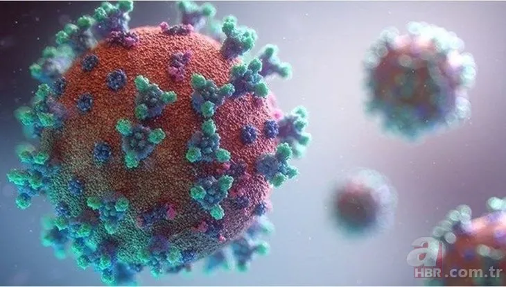 Felaket senaryosu! Mutasyonlu koronavirüs aşıya dayanıklı hale gelirse ne olacak? Bilim insanları yanıtladı