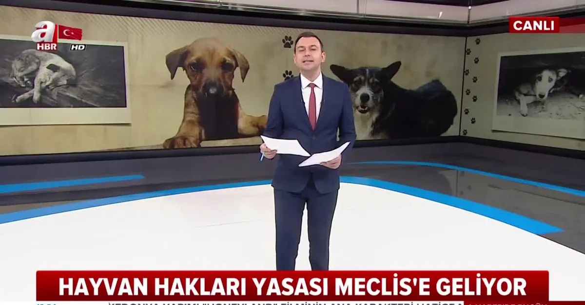 Hayvan Haklari Yasasi Degisiyor Ahaber Video Izle