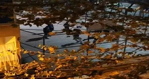 Kavga eden gençlere tezahürat yaptılar