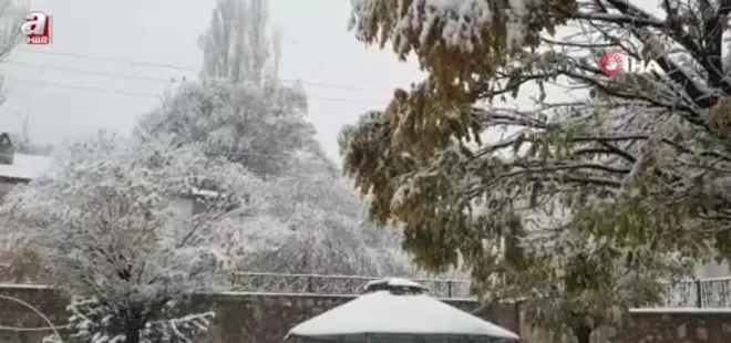 Başkale'de kar yağışı