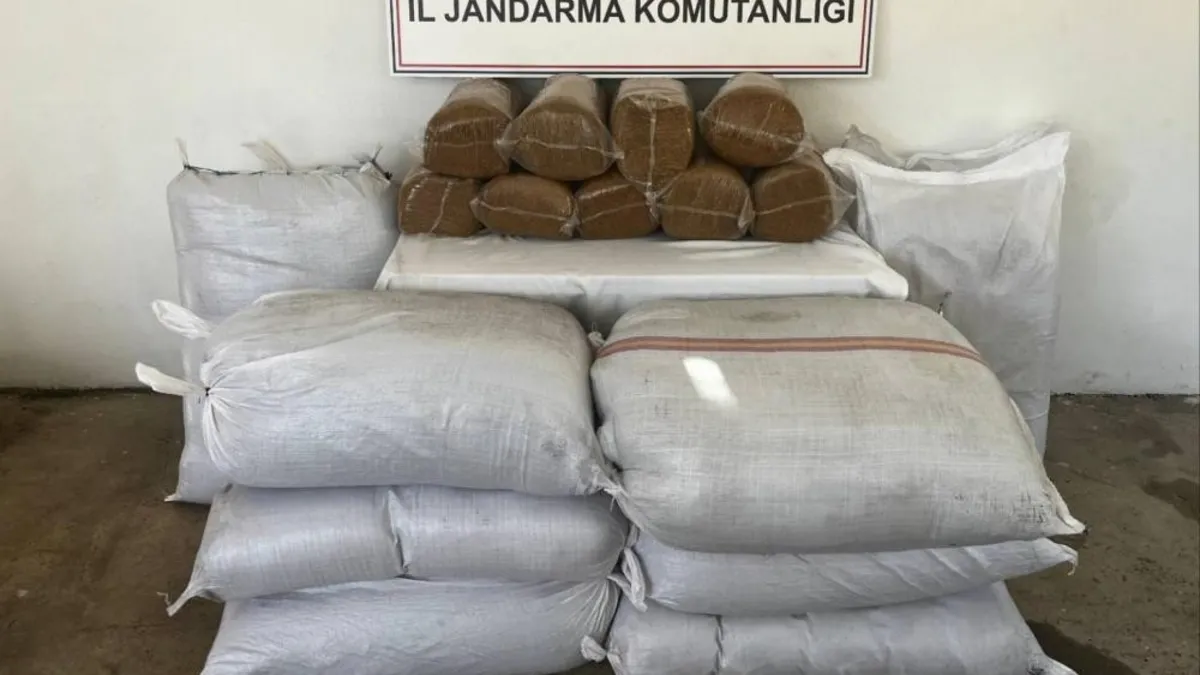 Gazipaşa'da 800 kilo bandrolsüz tütün ele geçirildi