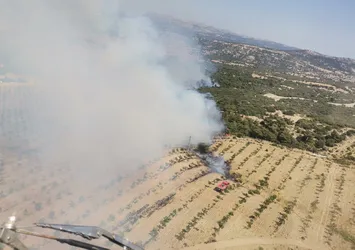 Son dakika | Çanakkale Ezine'de orman yangını