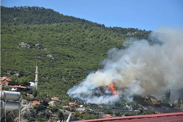 Son dakika | İzmir Kemalpaşa'da korkutan orman yangını! Ekipler bölgede - 2