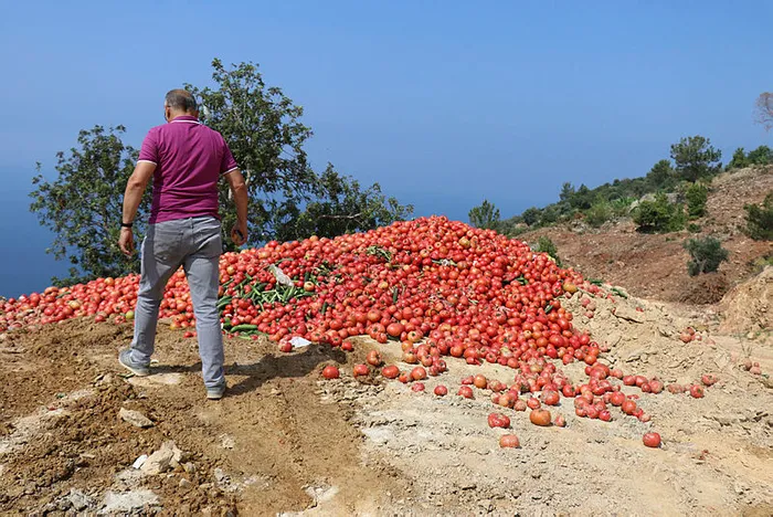 1654641732971.jpg Antalya'da çöpe dökülen sebzelerle ilgili Ticaret Bakanı Mehmet Muş'tan açıklama: En ağır yaptırım uygulanacak - 1