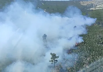 Manisa'da orman yangını! Karadan ve havadan müdahale ile alevler kontrol altında