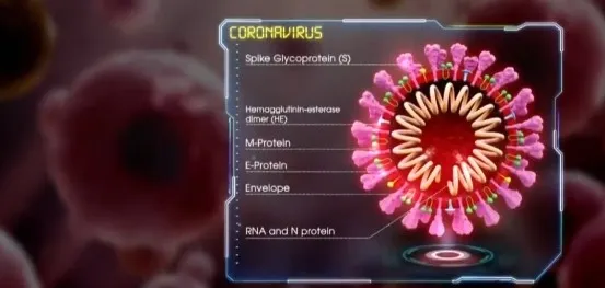 DSÖ çalışmalara başladı! Kovid-19’un kökenlerini Vuhan’da araştıracak