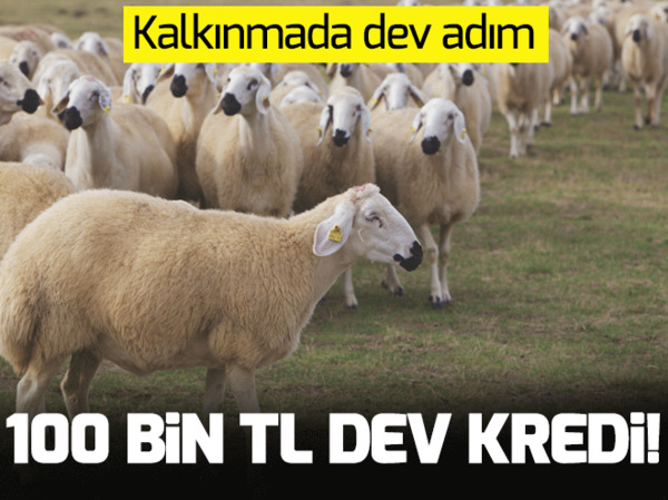 FETÖ’nün Gaybubet evlerine baskın! Bakın neler çıktı - 2