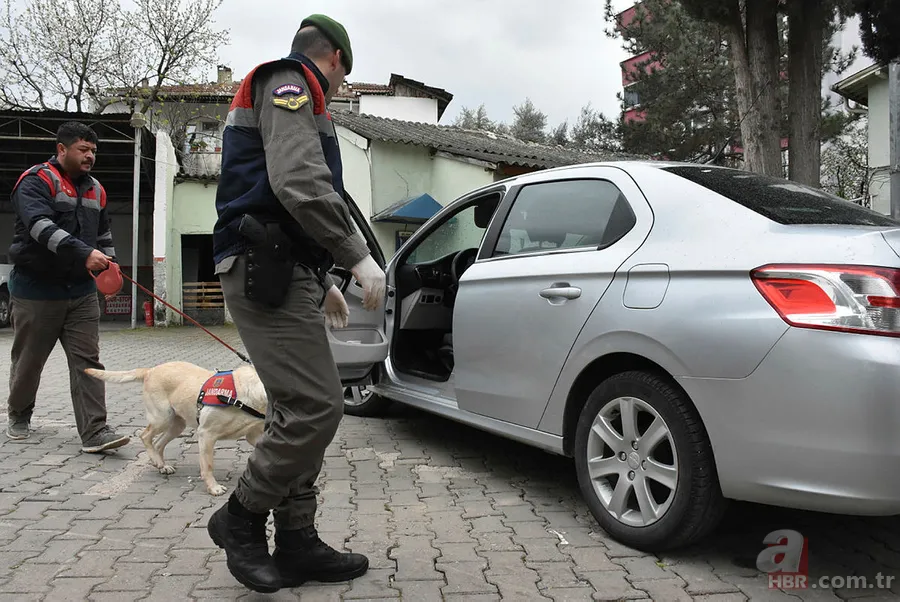 Bilecik'te ele geçirildi... Piyasa değeri tam 10 milyon TL 5