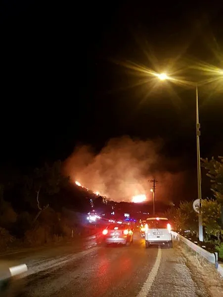 Son Dakika Izmir Menderes Te Orman Yangini