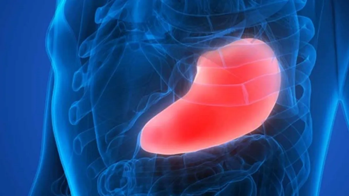 Kimse farkında değil! Vücut ilk sinyallerini veriyor! Sizde de bu belirtiler varsa acil detoksa ihtiyacınız var