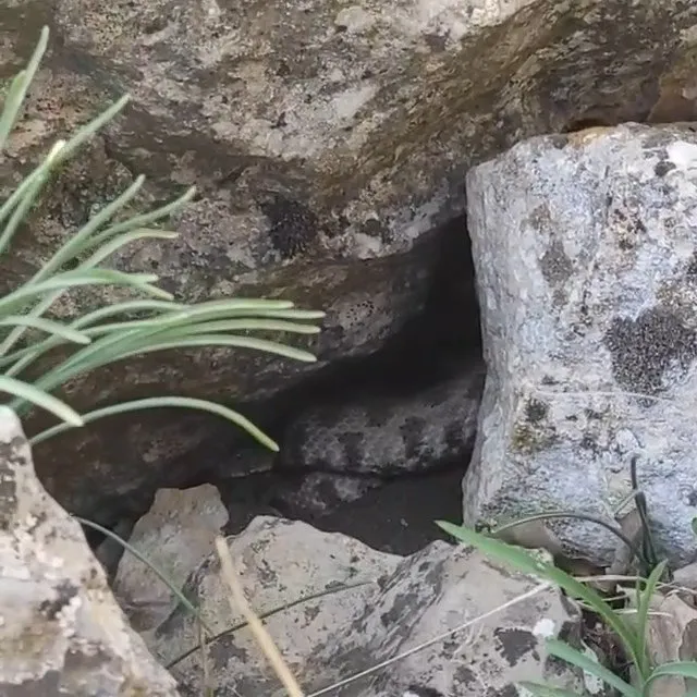 koyluler o anlari cep telefonu