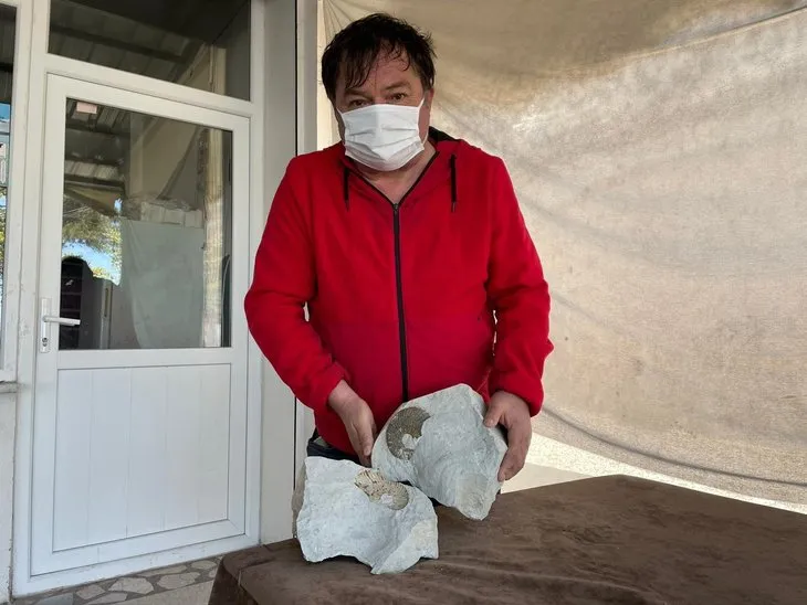 Ordu'da 65 milyon yıllık fosil bulundu iddiası