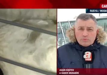 Dünyada ilk vaka! Kuş gribi insana geçer mi?