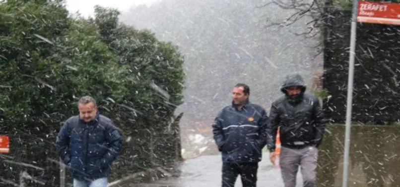 İstanbul'da kar yağışı başladı