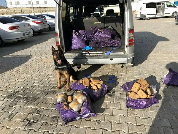 Van'da büyük uyuşturucu operasyonu - 1