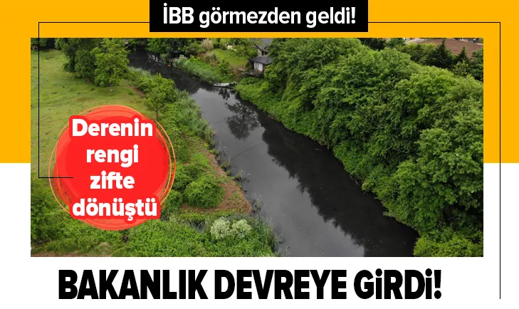Beykozdaki Riva Deresi siyaha dönmüştü! İBB görmezden gelince bakanlık devreye girdi